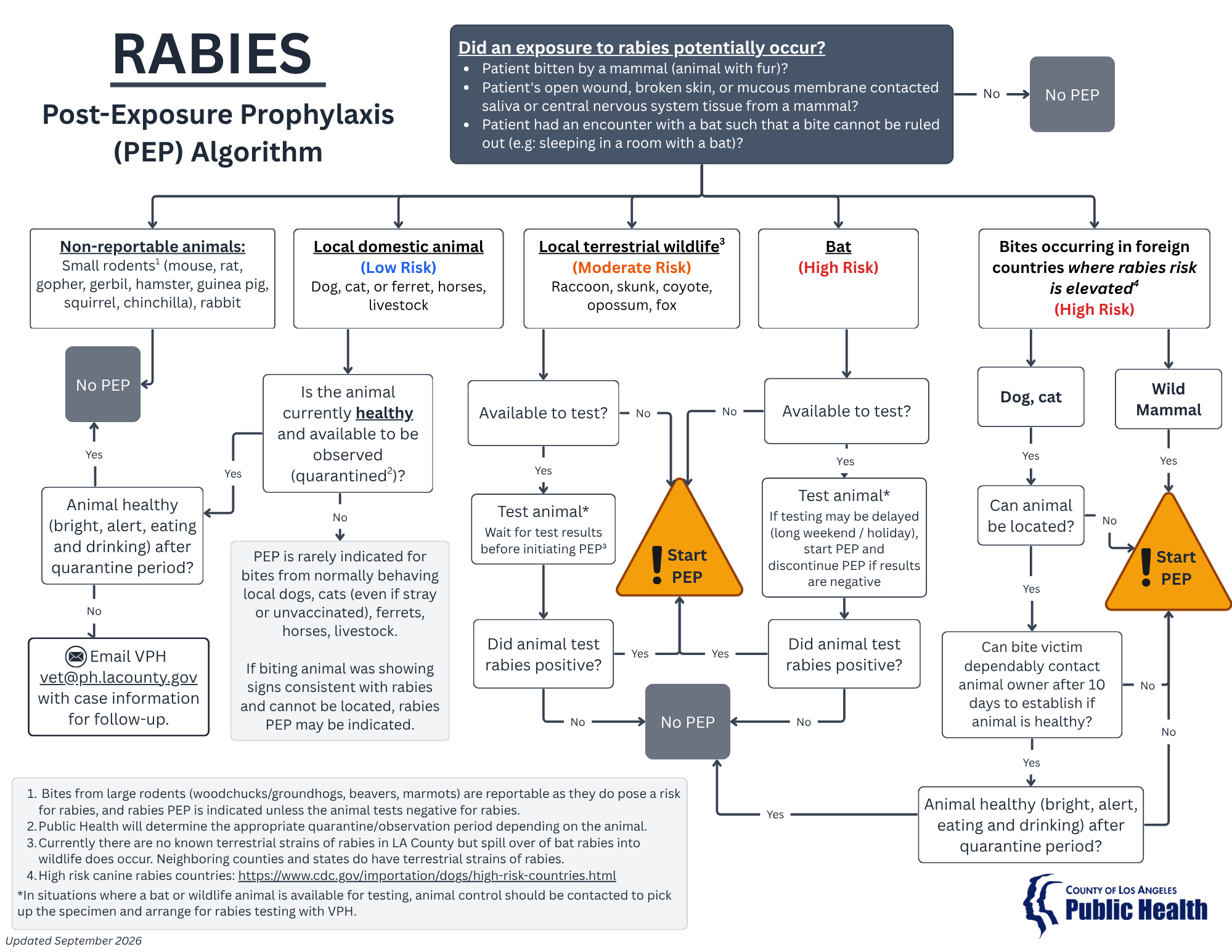 Rabies PEP decision algorithm flowchart. A full text version follows this image.