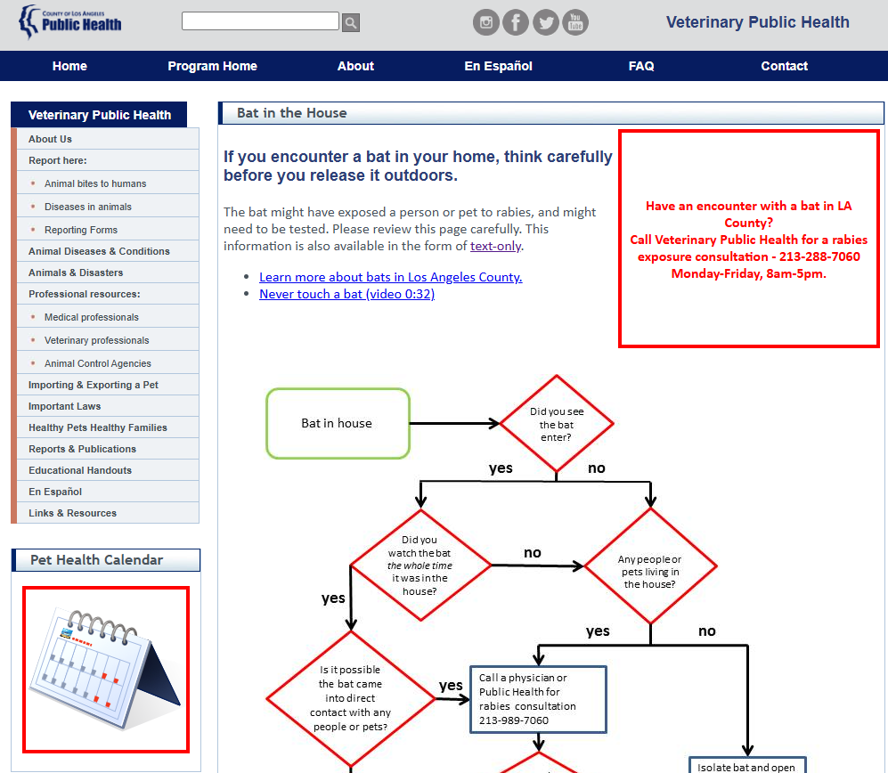 Bats in the Home Clinical Decision Flowchart thumbnail