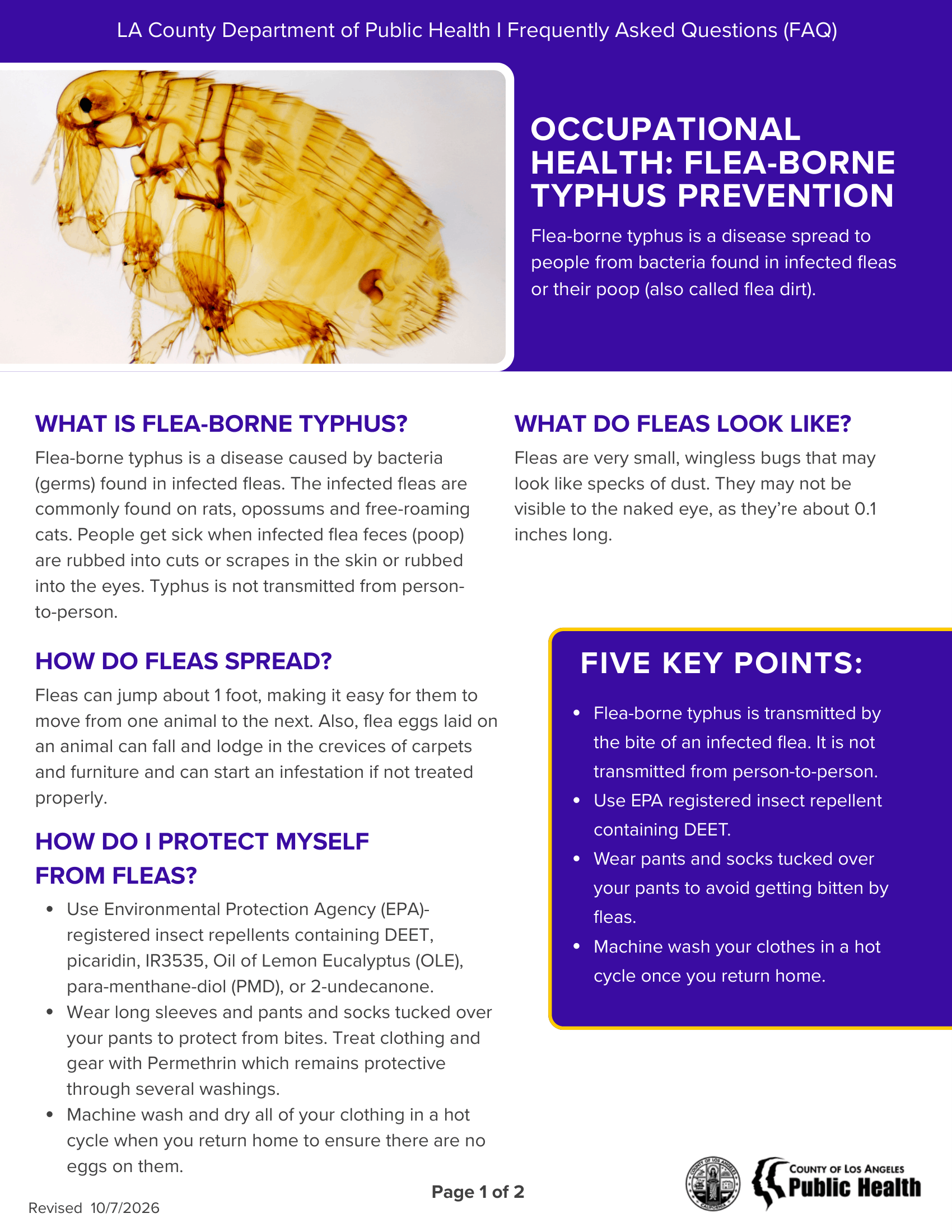 Occupational Health FAQs