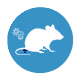 Andes Hantavirus Icon