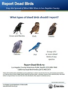 West Nile Virus - Report Dead Birds