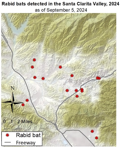 map showing locations of rabid bats reported in the Santa Clarita area of Los Angeles County from January 1 to July 23, 2024