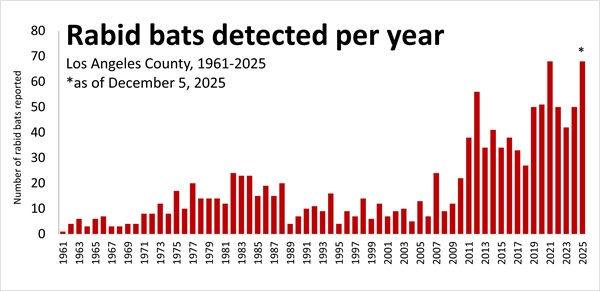 Graph - Los Angeles County rabid bats by year 1961-2025