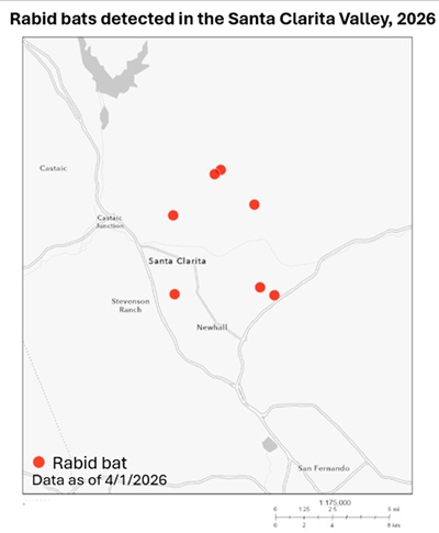 Map showing rabid bat detections in the Santa Clarita area of Los Angeles County since January 1, 2026