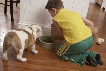 Keeping Your Pet Fit: Food and Play (Grades K–2)