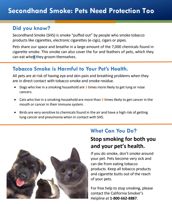 Secondhand Smoke: Pets Need Protection Too poster