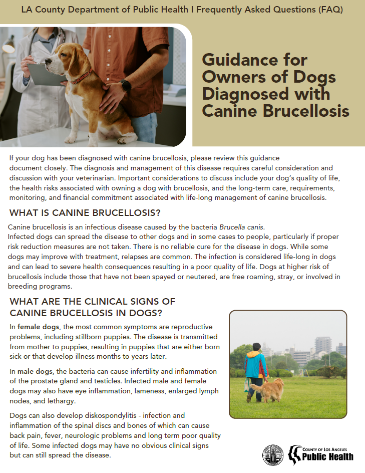 Guidance for Owners of Dogs Diagnosed with Canine Brucellosis