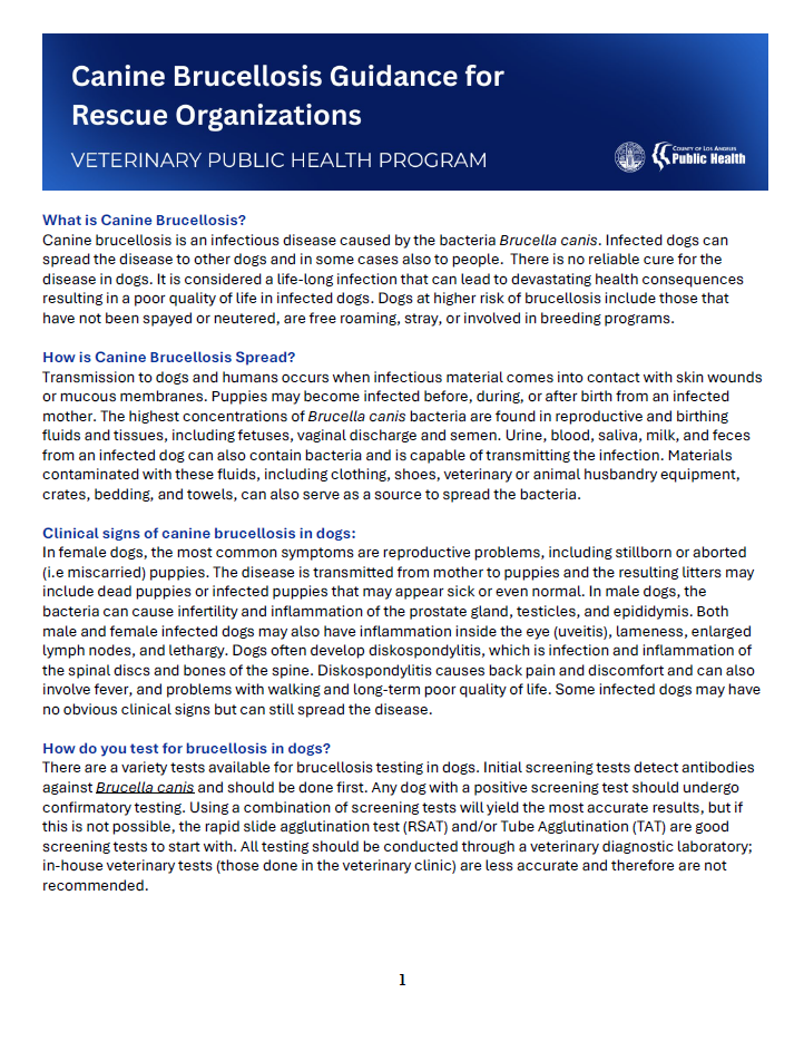 Canine Brucellosis: Guidance for Rescue Organizations