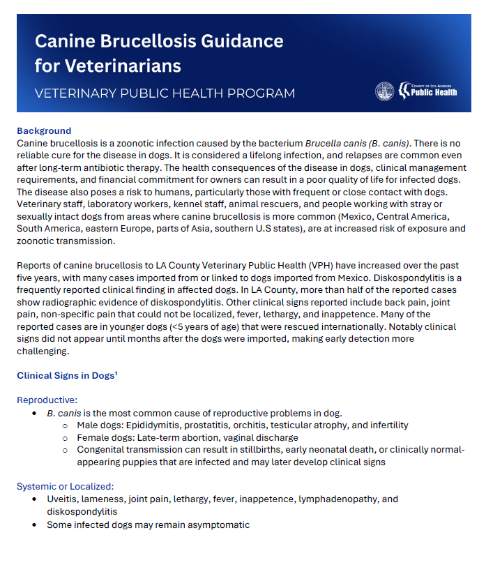 Guidance for Veterinarians Managing Canine Brucellosis
