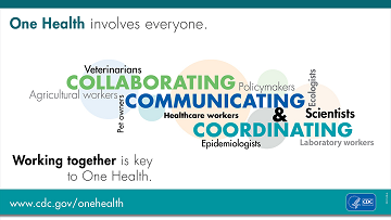 one health involves everyone