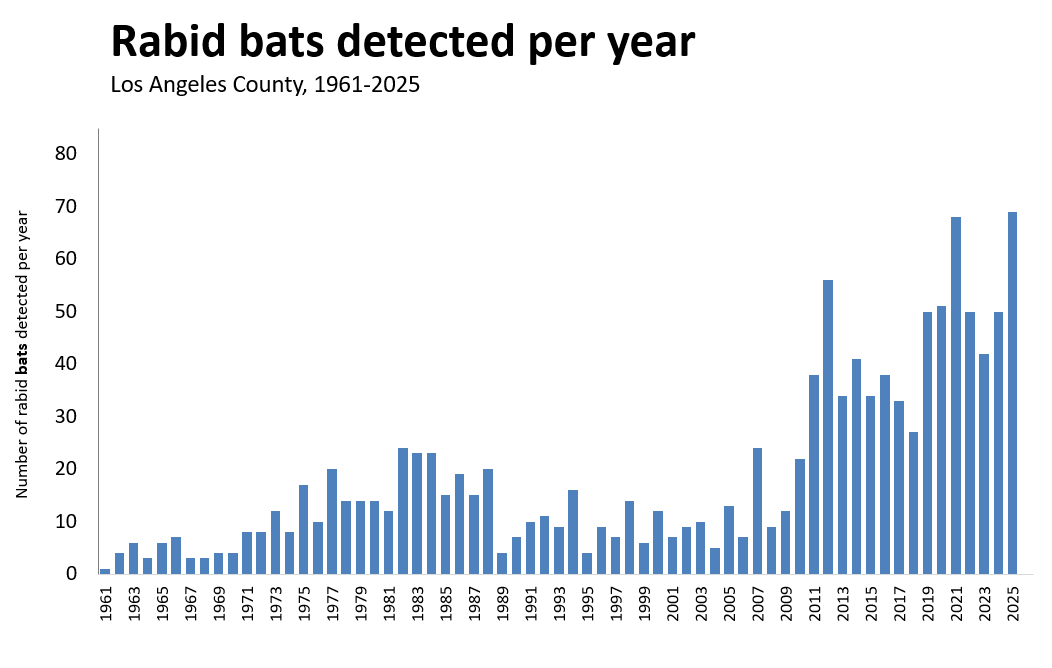 Historical graph showing rabid bats detected in Los Angeles County by year, 1961 through 2026.
